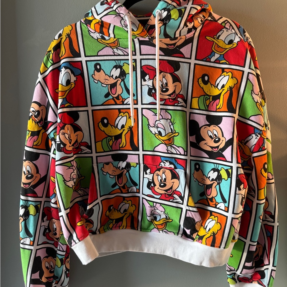 Disney Multicolor Character Hoodie